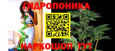 spice Кунгур