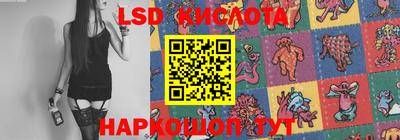 PSILOCYBIN Кулебаки