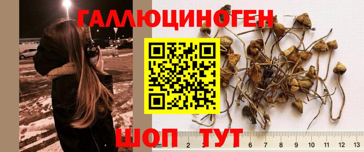 Псилоцибиновые грибы ЛСД  Вход с VPN  Кизляр 